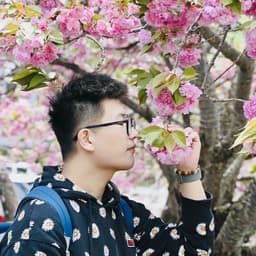 我的照片